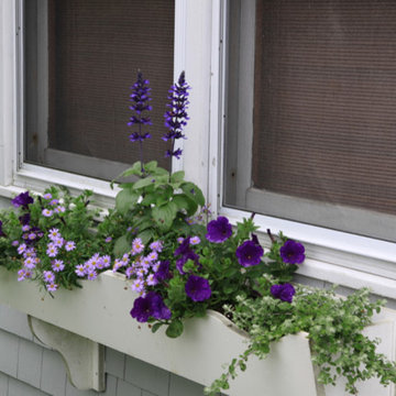 Seasonal Container Plantings & Changeovers