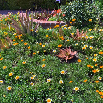 Agoura Hills Yardscape