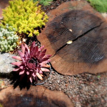 Garden path Corte Madera