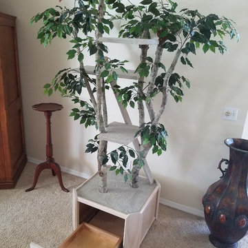 Unique Cat Trees