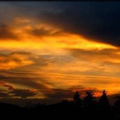 Linda Petersen's photo