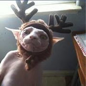 David Welch's photo
