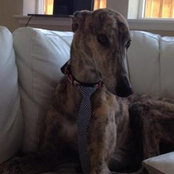 Kate Nowack's photo