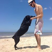 Franco Gai's photo
