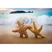 Lisa Oathout's photo