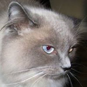Katrina Thorne's photo