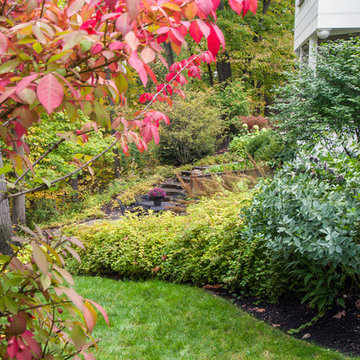 Ravine Garden Oasis
