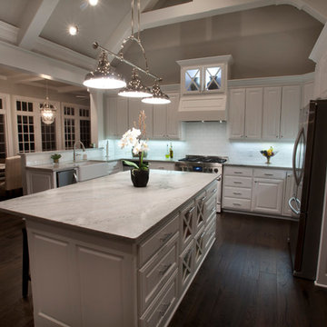 Stunning Sea Pearl Quartzite Kitchen