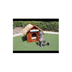Tropical Bamboo Dog House - Outdoor Decor