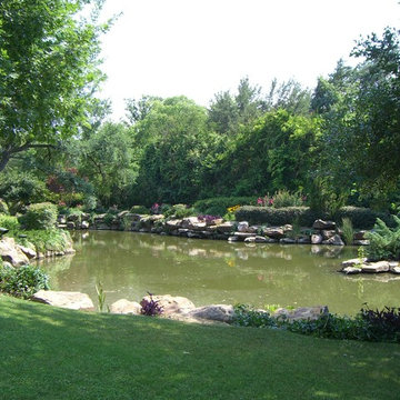 French: Park Lane #1