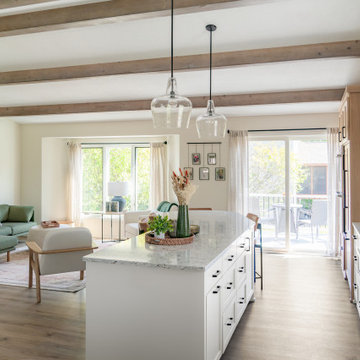 Chaska Kitchen-Main Level-Primary Suite Remodel 2023