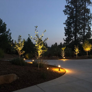 Our Work