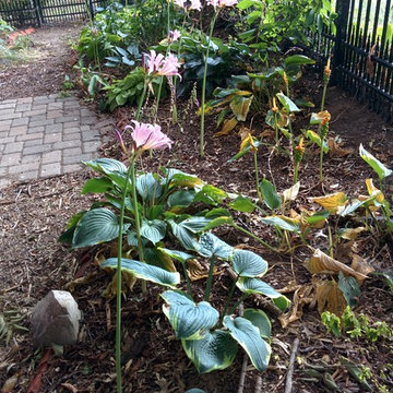 DIY Landscape - Woodland or Shade Gardening