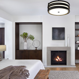Uriges Hauptschlafzimmer mit weißer Wandfarbe, hellem Holzboden, Kamin und Kaminumrandung aus Metall in Minneapolis