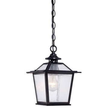 Acclaim Salem 1-Light Outdoor Hanging Lantern 9706BK, Matte Black