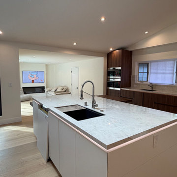 Santa Clara Whole House Remodel