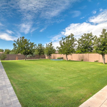 The Pecans in Queen Creek Pool and Yard