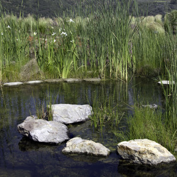 Trancas Canyon, Malibu