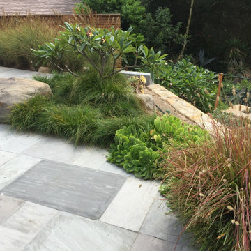 San Roque Contemporary Landscape Renovation