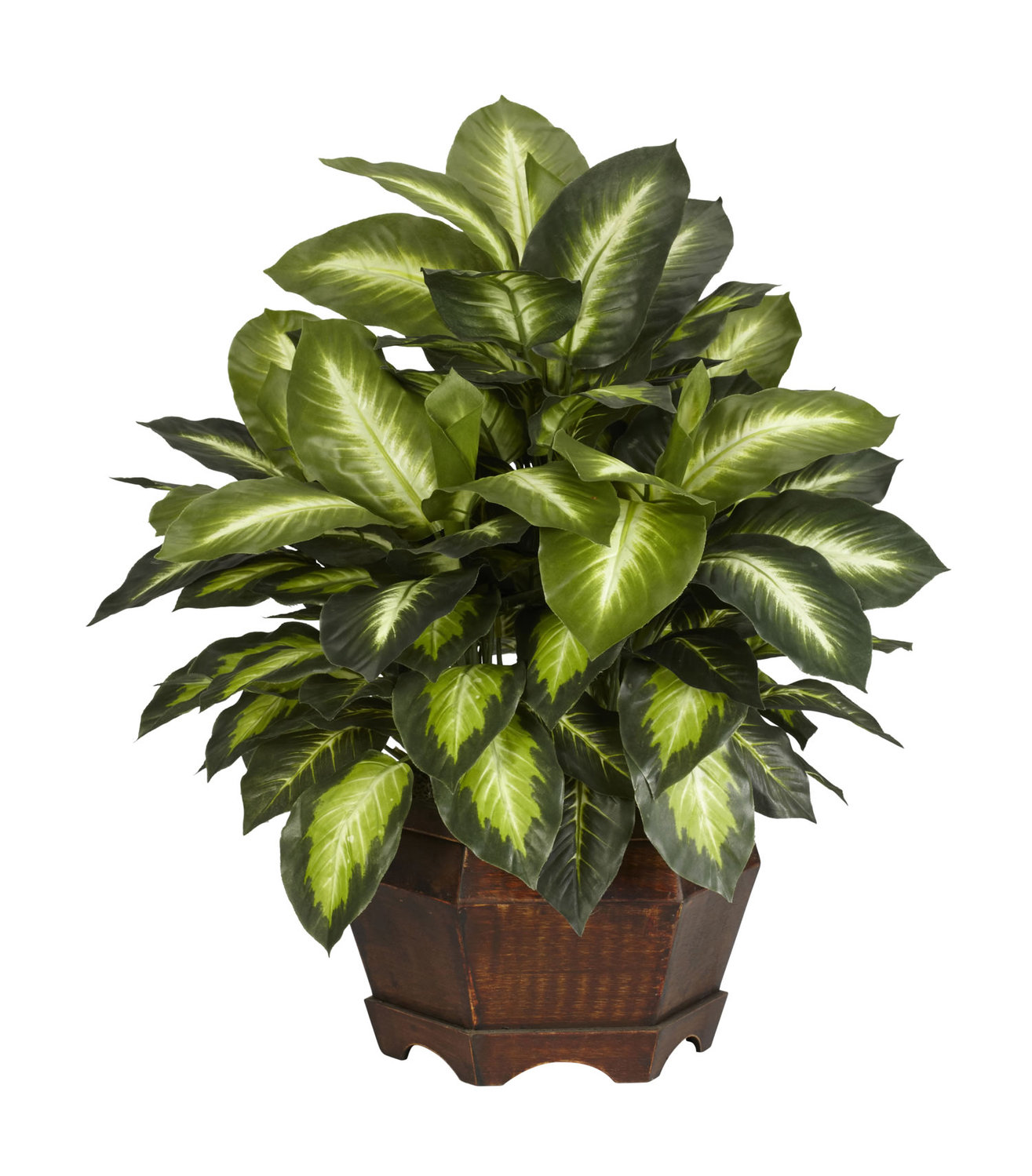 Golden Dieffenbachia Silk Plant