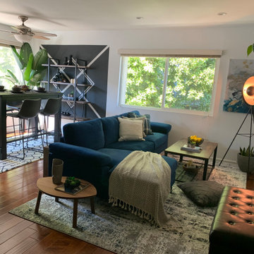 Project 2 : 1 Bedroom Apartment ( Cool Bachelor Pad )