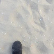 KH Ngọc's photo