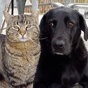 Krista Rowland's photo