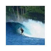 Adam Druckman's photo