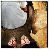 Felicity Cropper's photo