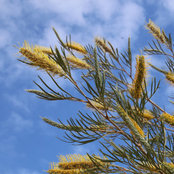 Foto von Fleur Griffiths