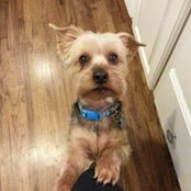 Nathan Kimes's photo