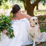 Sarah Ireland's photo