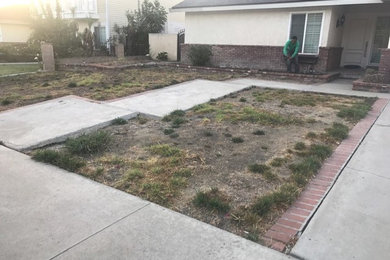 This is an example of a mid-sized traditional drought-tolerant and full sun front yard landscaping in Los Angeles.