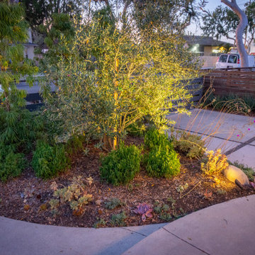 Culver City Residential Retreat