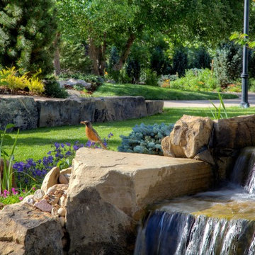 Oasis Amongst the Evergreens