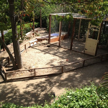 Thousand Oaks Chicken Coop