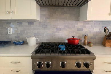 Kitchen - transitional kitchen idea in New York