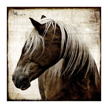 horse photo kitchen art
