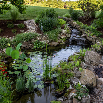 Tranquility