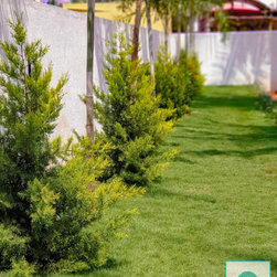 Landscape, Terrace Garden at Laggere, Bangalore - Products