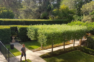 Photo of a mid-sized modern garden in Sydney.