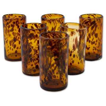 Tall Tortoise Shell, Set of 6 Drinking Glasses, Mexico