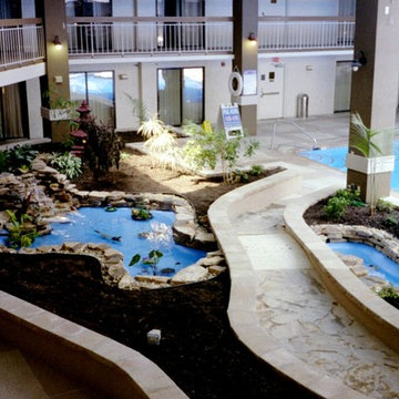 Ponds and Streams
