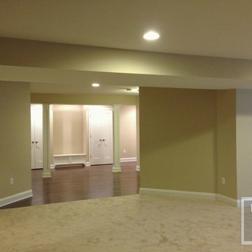 Basement with Kids Area