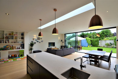 Castleknock Extension and Renovation