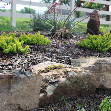 Crazy Daisy Flower Mound Project