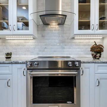Palm Harbor Transitional Kitchen