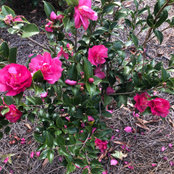 Amy Martin's photo