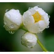 Victoria Slawich's photo