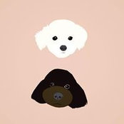 Minji Son's photo